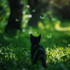 中文字幕无线码中文字幕下载
